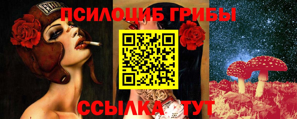 Галлюциногенные грибы прущие грибы  Берёзовский 