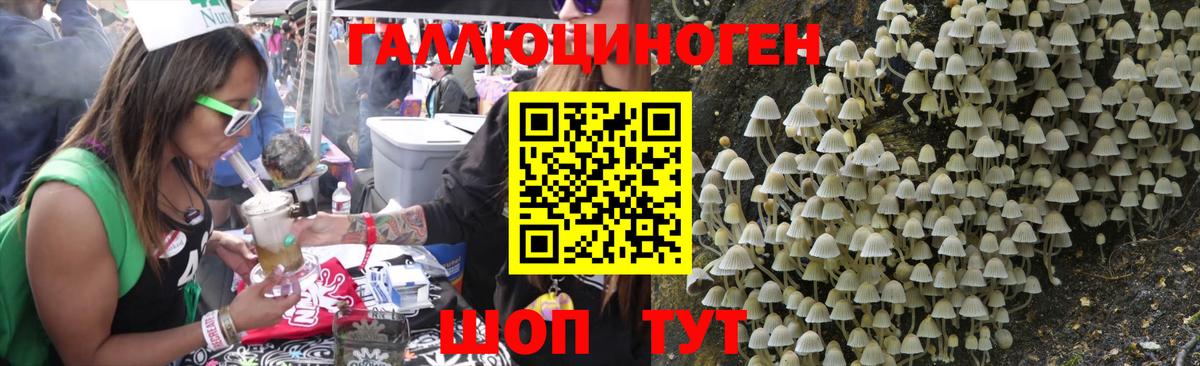 Псилоцибиновые грибы MAGIC MUSHROOMS Берёзовский