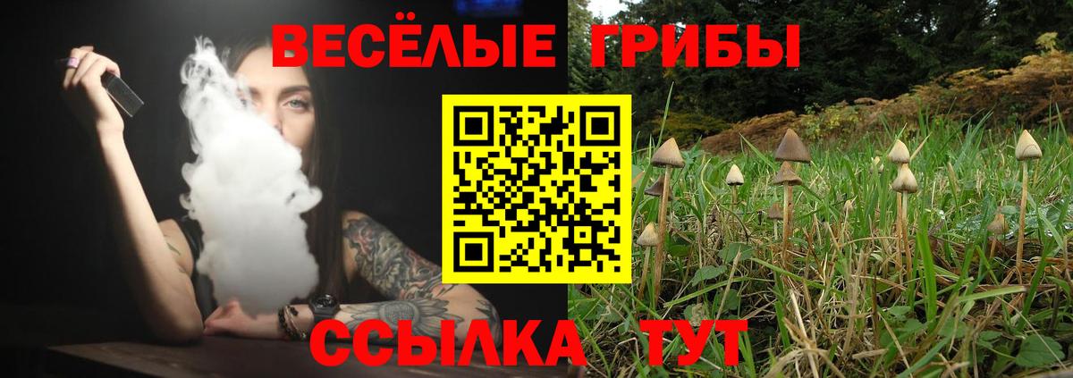 Берёзовский  Галлюциногенные грибы MAGIC MUSHROOMS  Вход с VPN 